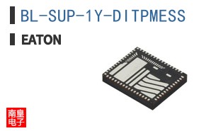 BL-SUP-1Y-DITPMESS
