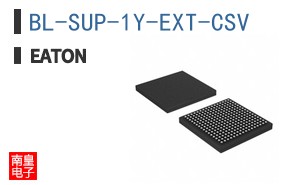 BL-SUP-1Y-EXT-CSV