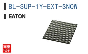 BL-SUP-1Y-EXT-SNOW