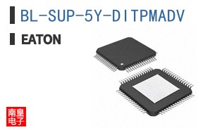 BL-SUP-5Y-DITPMADV
