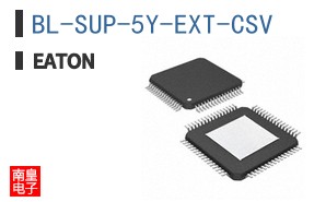 BL-SUP-5Y-EXT-CSV