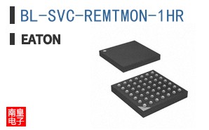 BL-SVC-REMTMON-1HR