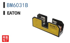 BM6031B