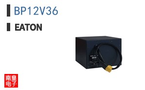 BP12V36