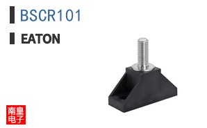BSCR101