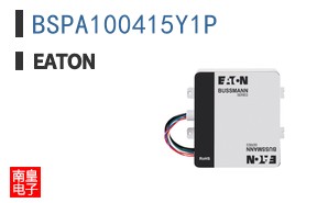 BSPA100415Y1P