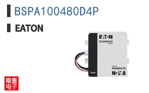 BSPA100480D4P