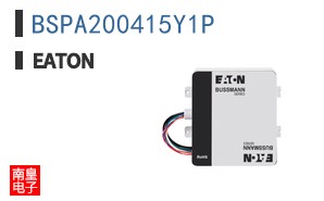 BSPA200415Y1P