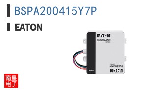 BSPA200415Y7P