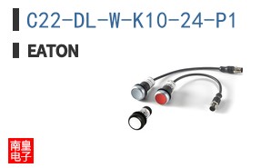C22-DL-W-K10-24-P1