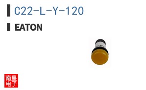 C22-L-Y-120