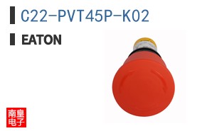 C22-PVT45P-K02