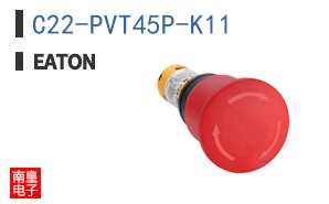 C22-PVT45P-K11