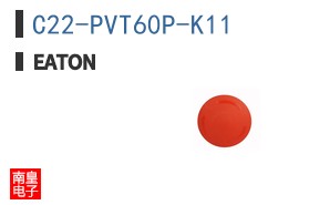 C22-PVT60P-K11