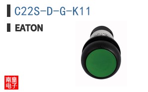 C22S-D-G-K11