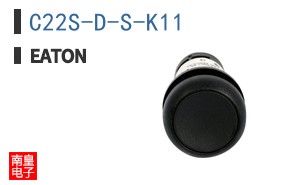 C22S-D-S-K11