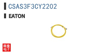 CSAS3F3CY2202