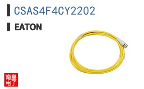 CSAS4F4CY2202