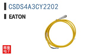 CSDS4A3CY2202