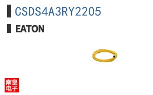 CSDS4A3RY2205