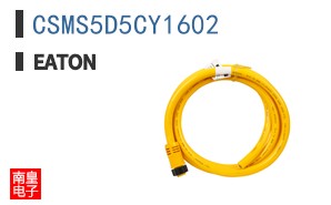 CSMS5D5CY1602