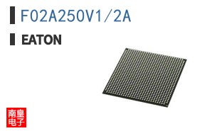 F02A250V1/2A