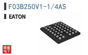F03B250V1-1/4AS