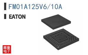 FM01A125V6/10A