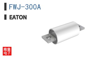 FWJ-300A