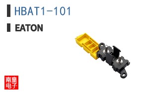 HBAT1-101