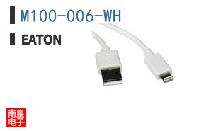 M100-006-WH