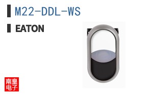 M22-DDL-WS