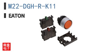 M22-DGH-R-K11