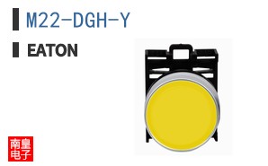 M22-DGH-Y