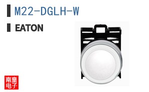 M22-DGLH-W
