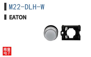 M22-DLH-W