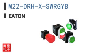 M22-DRH-X-SWRGYB