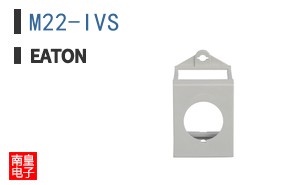 M22-IVS