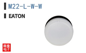 M22-L-W-W