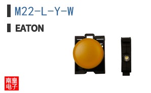 M22-L-Y-W