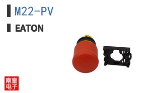M22-PV