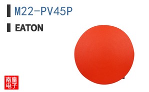 M22-PV45P