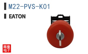 M22-PVS-K01