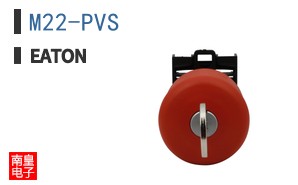 M22-PVS