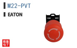 M22-PVT