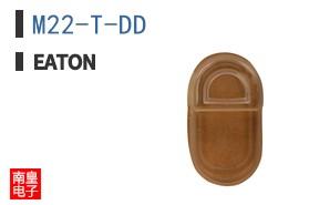 M22-T-DD