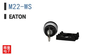 M22-WS