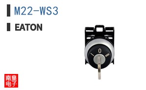 M22-WS3