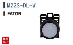 M22S-DL-W