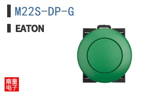 M22S-DP-G